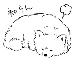 Pomeranian watachan Sticker2 sticker #14536138