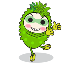 Bitter Melon Fruit sticker #14536528