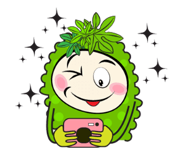 Bitter Melon Fruit sticker #14536560