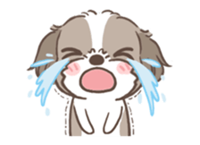 King & Bow 4 (Lovely Shih Tzu) sticker #14536711