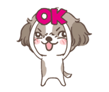 King & Bow 4 (Lovely Shih Tzu) sticker #14536712