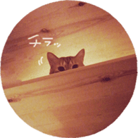 FUNNY CAT TORO 3 sticker #14539122