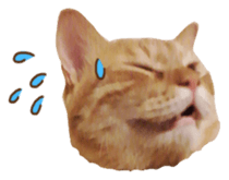 FUNNY CAT TORO 3 sticker #14539131