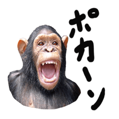 Chimpanzee Sticker