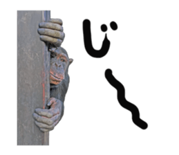 Chimpanzee Sticker sticker #14540054
