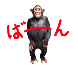 Chimpanzee Sticker sticker #14540056