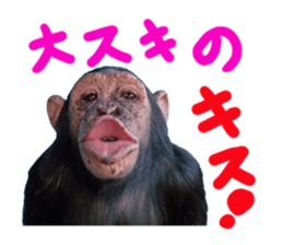 Chimpanzee Sticker sticker #14540059