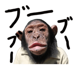 Chimpanzee Sticker sticker #14540061