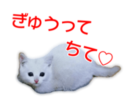 Cute cat Everyday Chi-chan Ver sticker #14540223