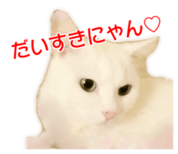 Cute cat Everyday Chi-chan Ver sticker #14540224