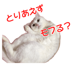Cute cat Everyday Chi-chan Ver sticker #14540225