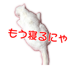 Cute cat Everyday Chi-chan Ver sticker #14540227