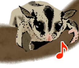 Real sugar glider(Frequently used words) sticker #14540515