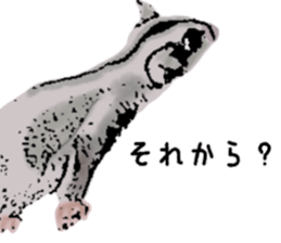 Real sugar glider(Frequently used words) sticker #14540525