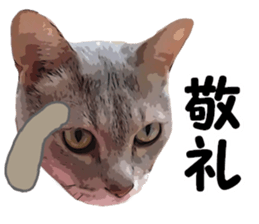 Comical cat.2 sticker #14540614