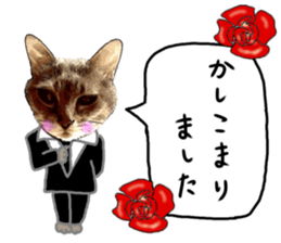 Comical cat.2 sticker #14540615