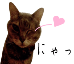 Comical cat.2 sticker #14540616