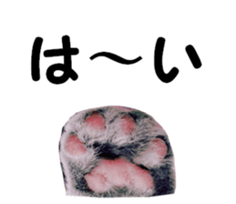 Comical cat.2 sticker #14540617