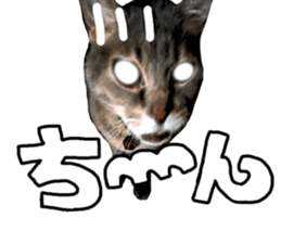 Comical cat.2 sticker #14540623