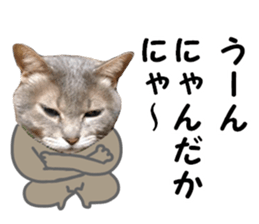 Comical cat.2 sticker #14540624