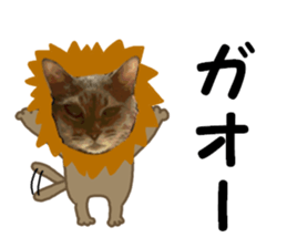 Comical cat.2 sticker #14540626