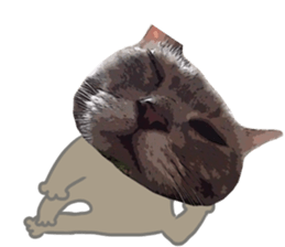 Comical cat.2 sticker #14540629