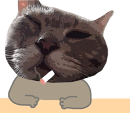 Comical cat.2 sticker #14540631