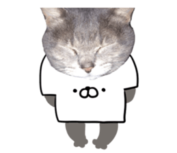 Comical cat.2 sticker #14540632