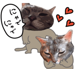 Comical cat.2 sticker #14540634