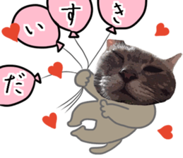 Comical cat.2 sticker #14540635