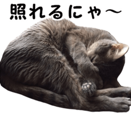 Comical cat.2 sticker #14540636