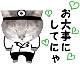 Comical cat.2 sticker #14540637