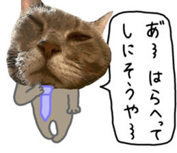 Comical cat.2 sticker #14540640