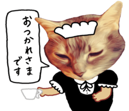 Comical cat.2 sticker #14540641