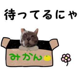 Comical cat.2 sticker #14540643