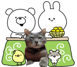 Comical cat.2 sticker #14540647