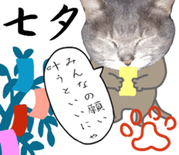 Comical cat.2 sticker #14540650