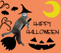 Comical cat.2 sticker #14540651