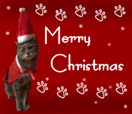 Comical cat.2 sticker #14540652