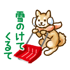 Niigata dialect speaking shibainu 2