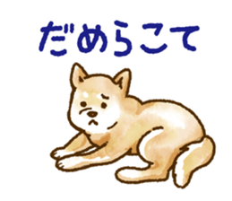 Niigata dialect speaking shibainu 2 sticker #14540855