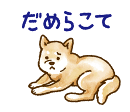 Niigata dialect speaking shibainu 2 sticker #14540855