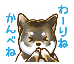 Niigata dialect speaking shibainu 2 sticker #14540856