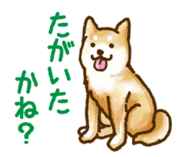 Niigata dialect speaking shibainu 2 sticker #14540858