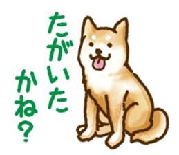 Niigata dialect speaking shibainu 2 sticker #14540858