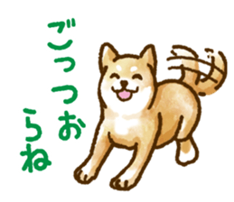 Niigata dialect speaking shibainu 2 sticker #14540863
