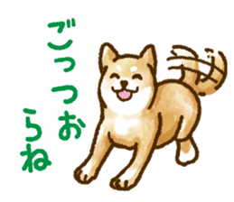 Niigata dialect speaking shibainu 2 sticker #14540863