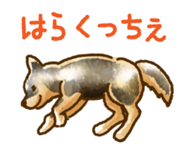 Niigata dialect speaking shibainu 2 sticker #14540865