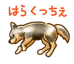 Niigata dialect speaking shibainu 2 sticker #14540865