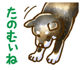 Niigata dialect speaking shibainu 2 sticker #14540868